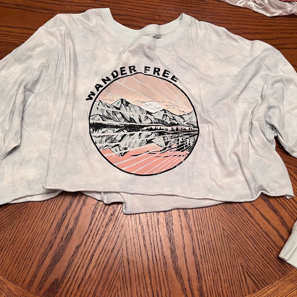 Wander Free Graphic Cropped Sweatshirt